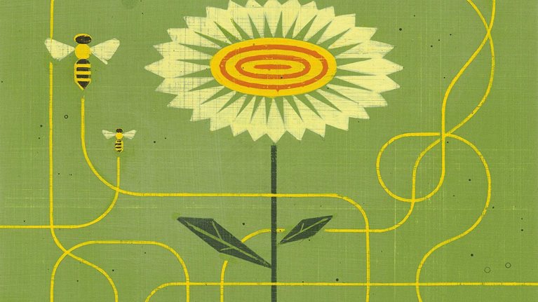 B2B-CDJ_1536x1536_Original