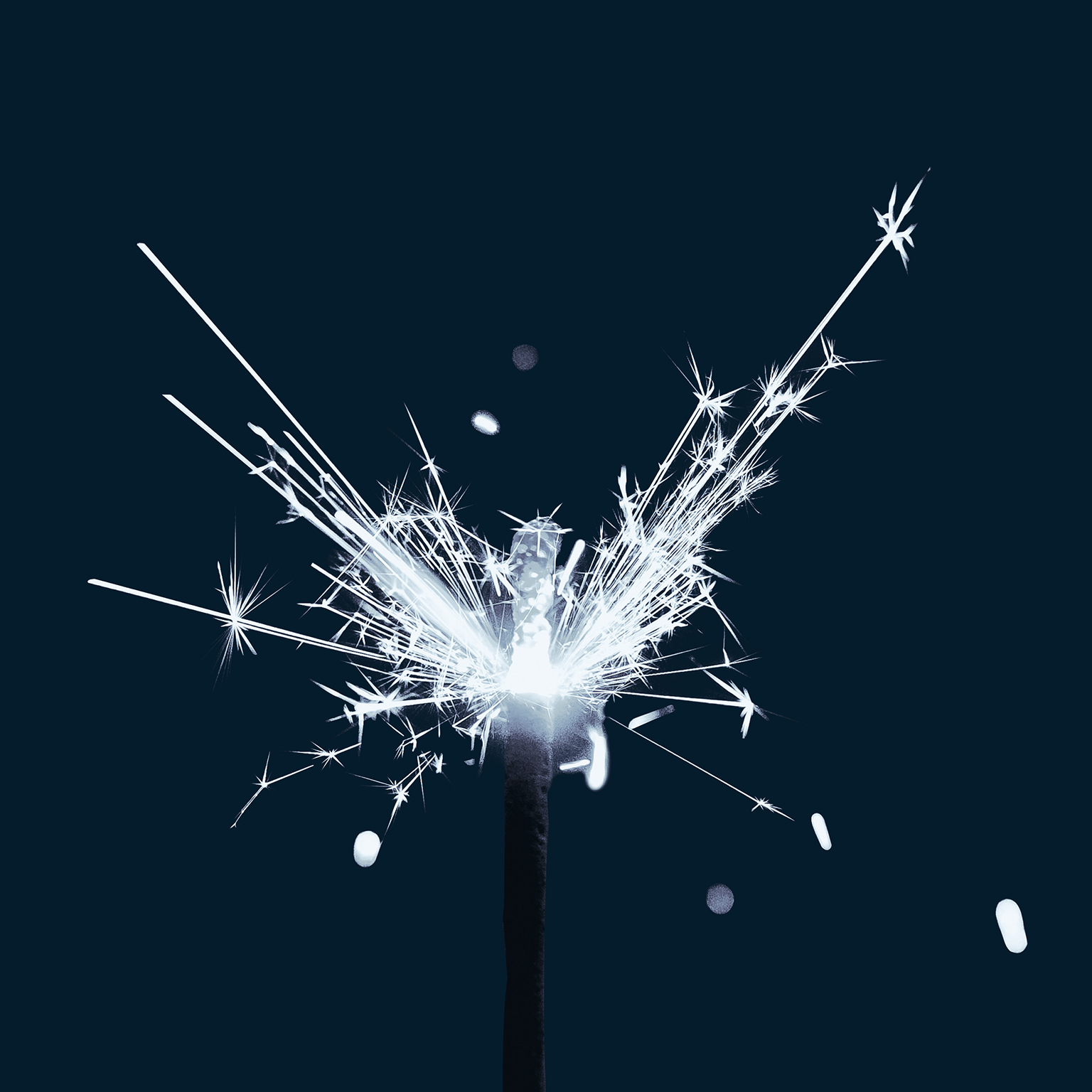 The Venture Podcast