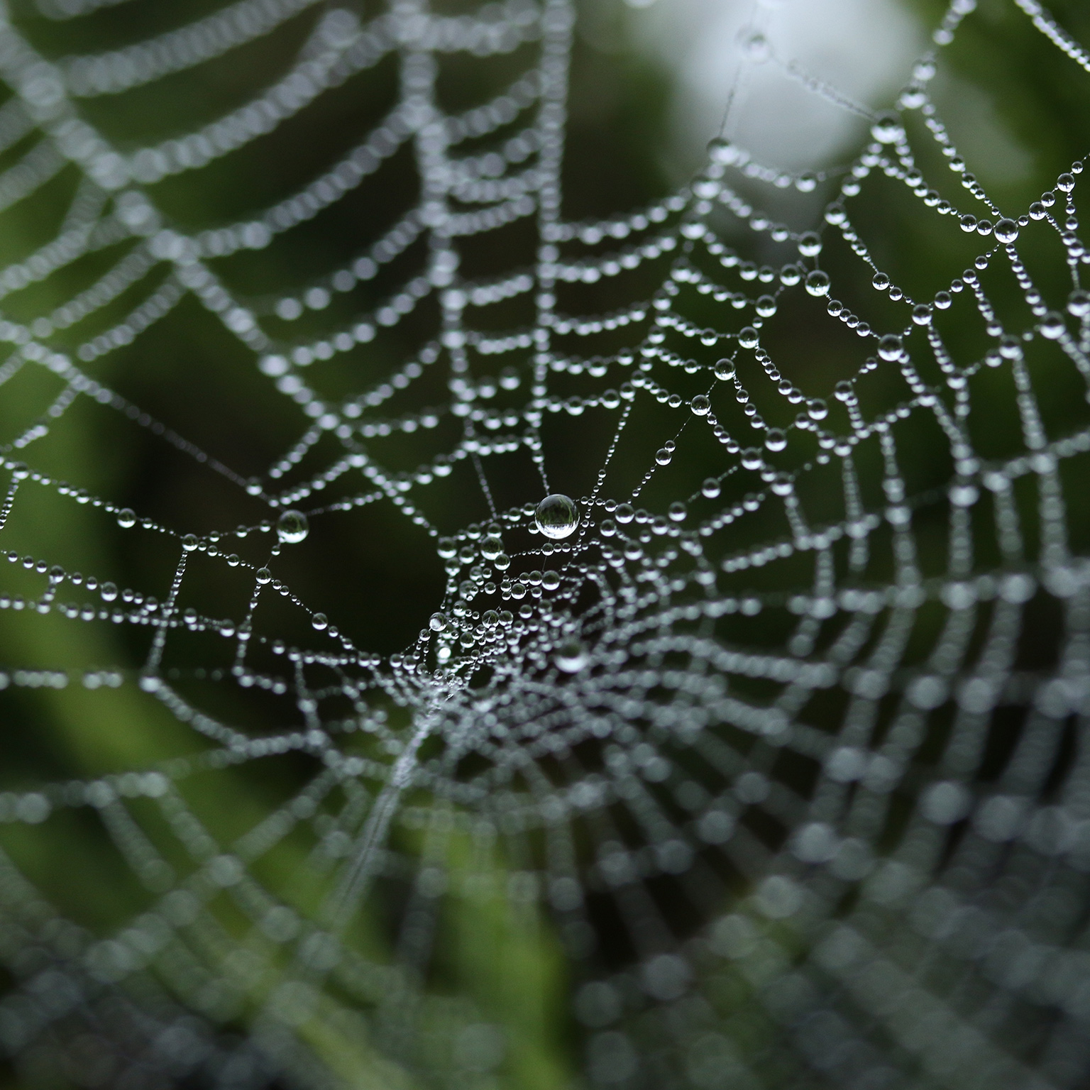 Management’s next frontier: Making the most of the ecosystem economy