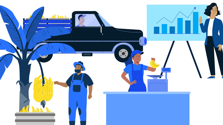 following the banana supply chain from tree to shipping to store to profit report - illustration