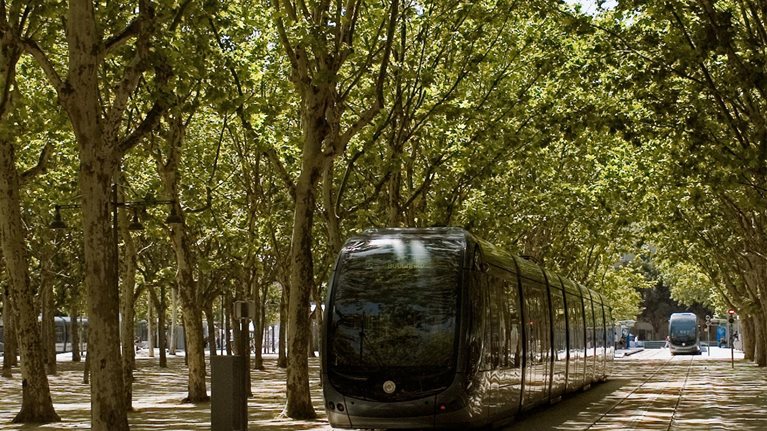 Investing in infrastructure for a green recovery