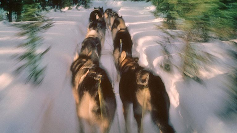 Power-of-collective-action-1536x1536-100 offset_Standard