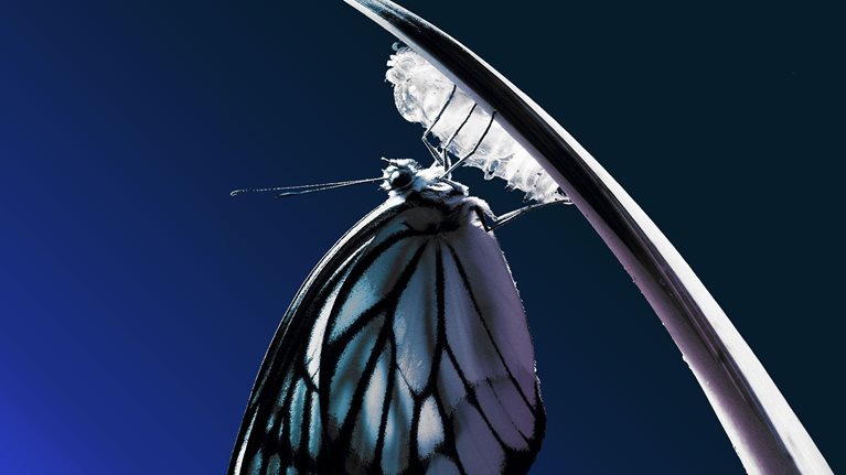 A better way to lead large-scale change