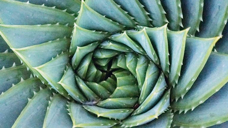 Building agile capabilities: The fuel to power your agile ‘body’