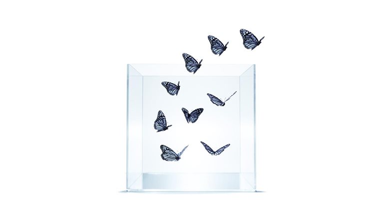 Photo of monarch butterflies flying out of glass jar