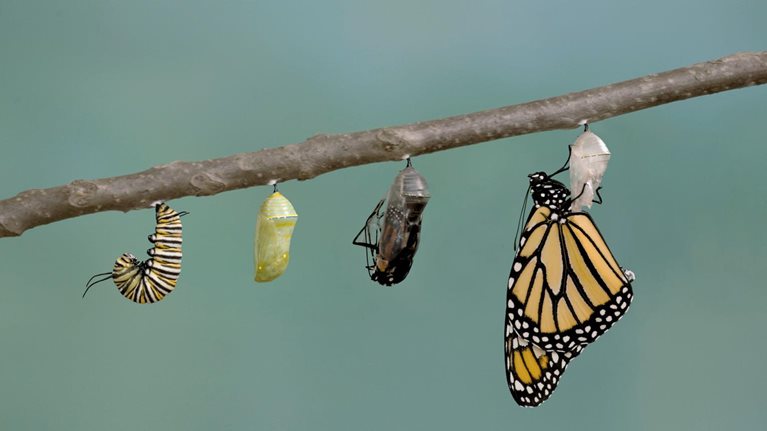 How do we manage the change journey?