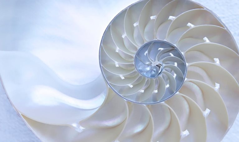 How nonprofits can structure inclusion practices for greater impact