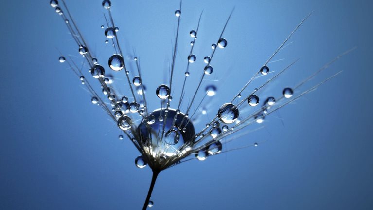 Your organization is grieving—here’s how you can help