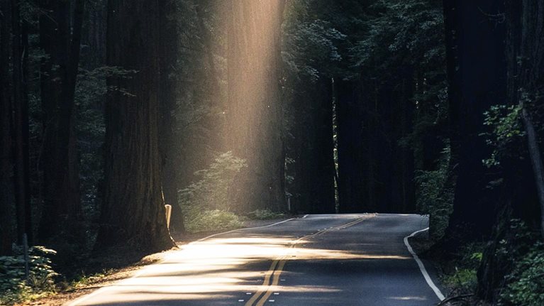 A two-lane road running though a dense and dark forest. Light breaks though the misty air and illuminates a patch of road up ahead.