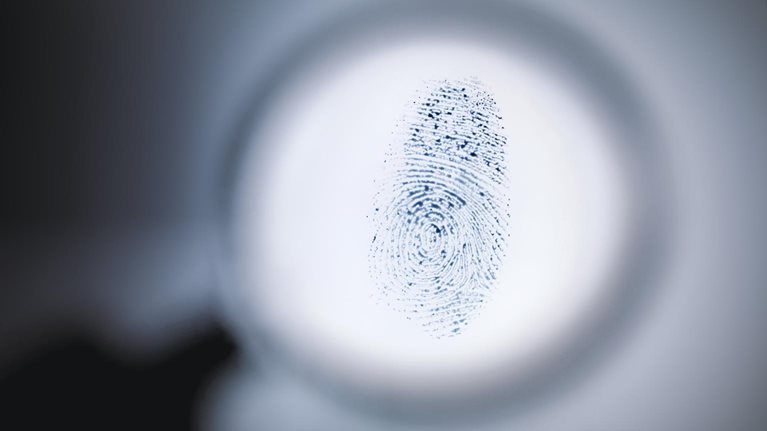 The investigator-centered approach to financial crime: Doing what matters