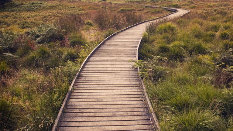 037 A long-term look at ROIC main image_Original