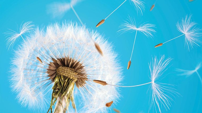 Divestitures How to invest_1536x1536_Original