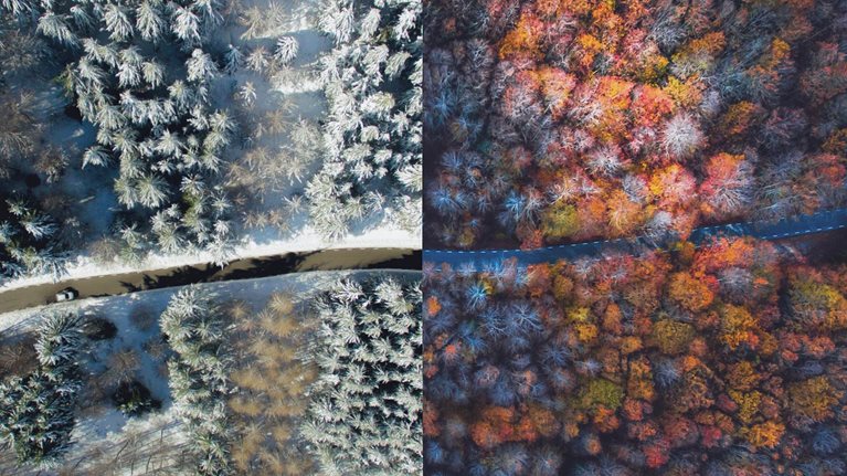 How CFOs should drive digital transformations