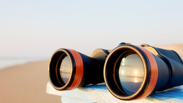 Short-term pain for long-term gain: The new CEO’s dilemma