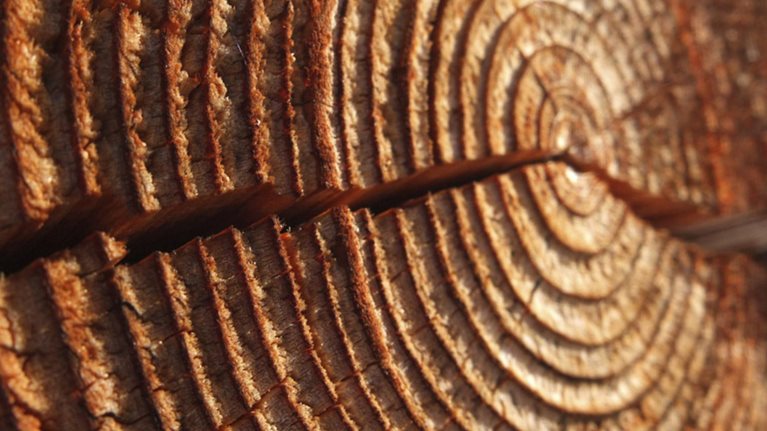 power_of_enduring_companies_1536x1536_Original