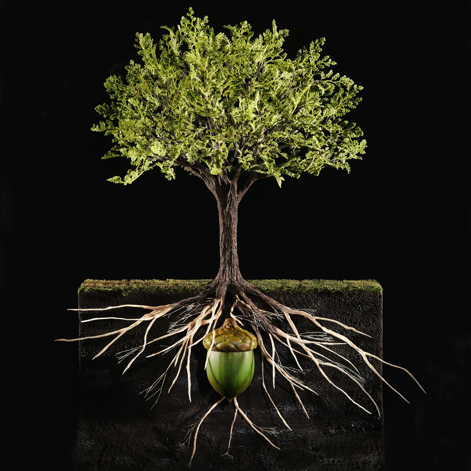 The-value-premium-of-organic-growth-1536x1536-400_Standard