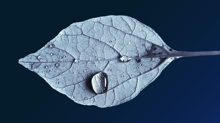 Addressing climate change in a post-pandemic world