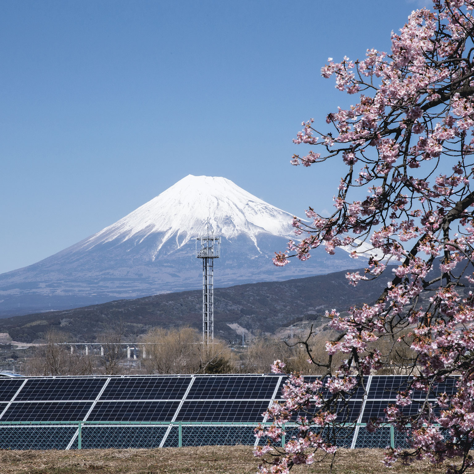 Charting a path from the shuchu kiyaku to ESG for Japanese companies