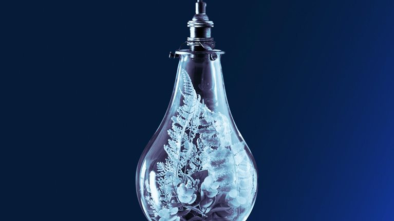 Insights on the net-zero transition