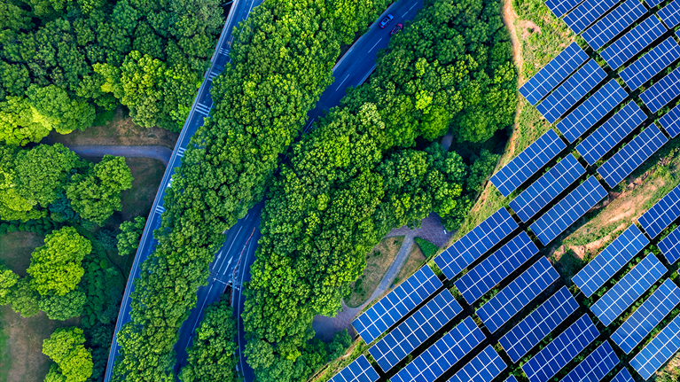 At COP15, new urgency on what governments and companies can do to restore natural capital