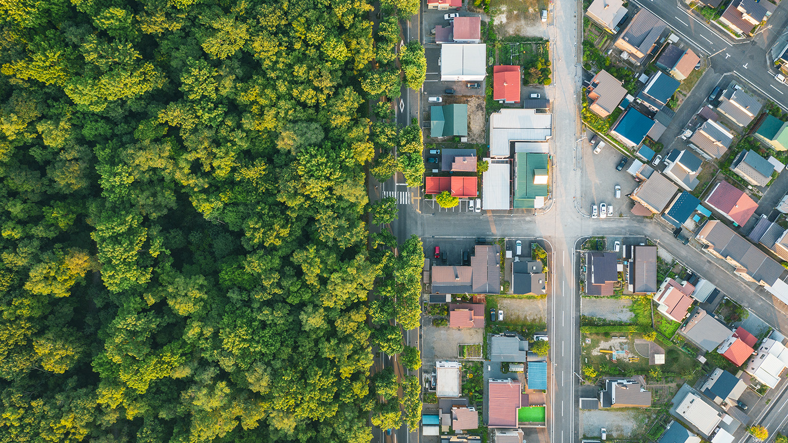 The state of nature markets today and tomorrow