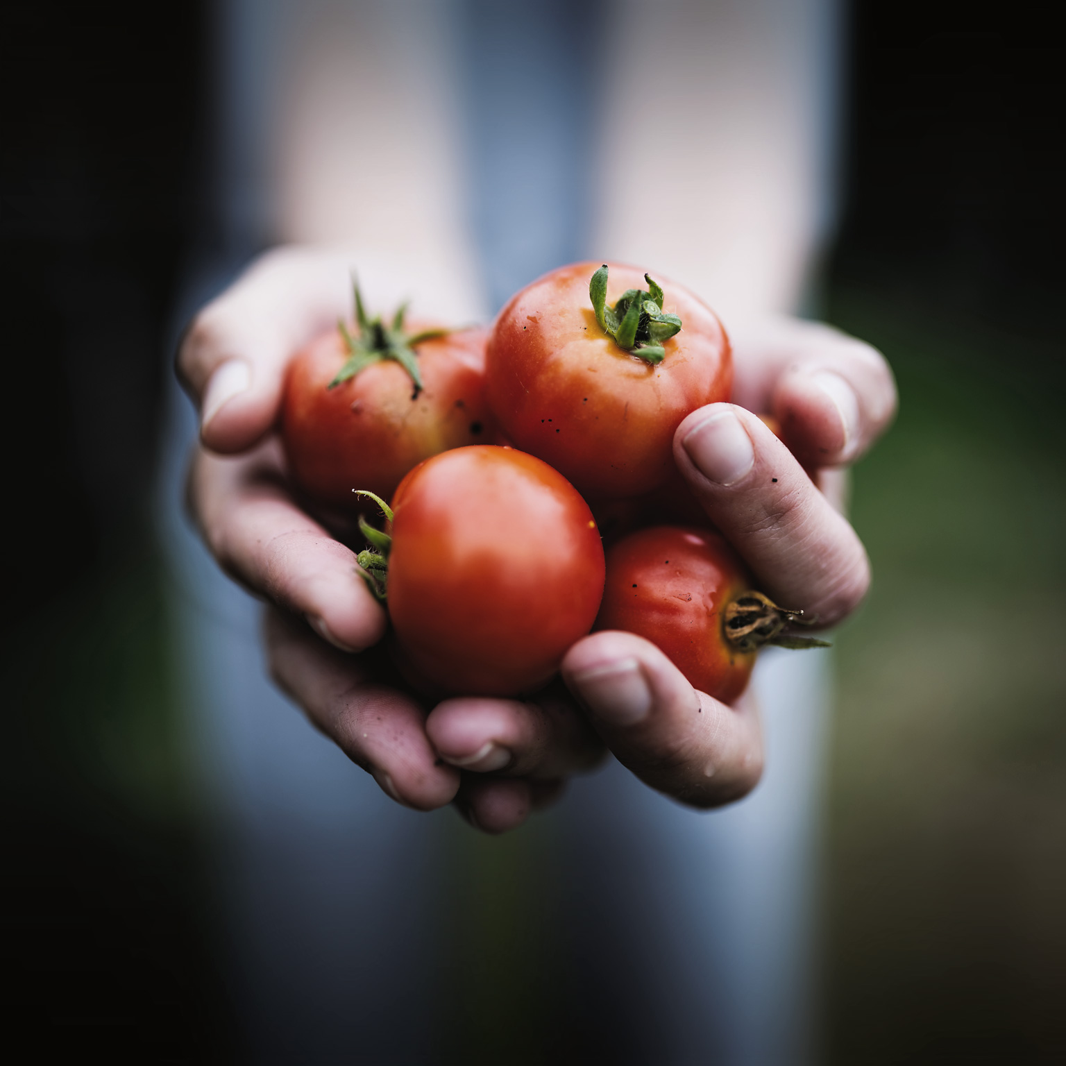 Food security