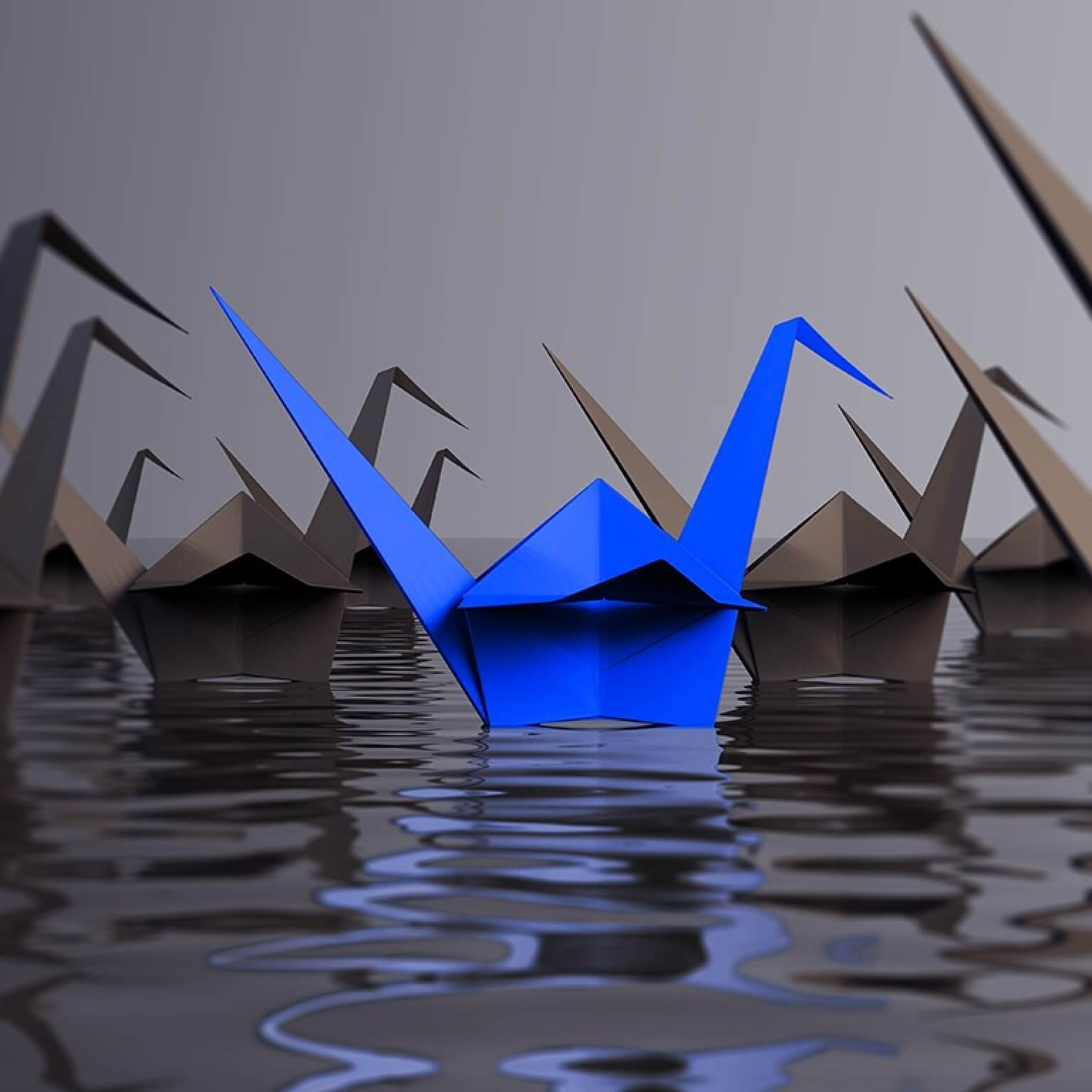 origami crane floating on water