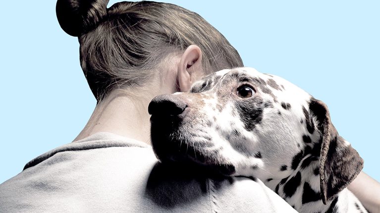 A close up of a woman embracing a Dalmatian. The woman is facing away from the camera with the endearing expression and kind eyes of the Dalmatian facing forward.
