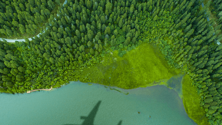 The path to net zero in aviation