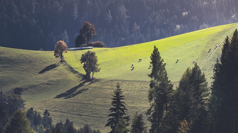 Agriculture plays a critical role in limiting the impact of climate change