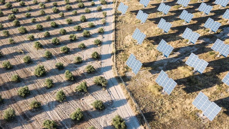 How the agriculture sector can prepare for disruption in the food value chain