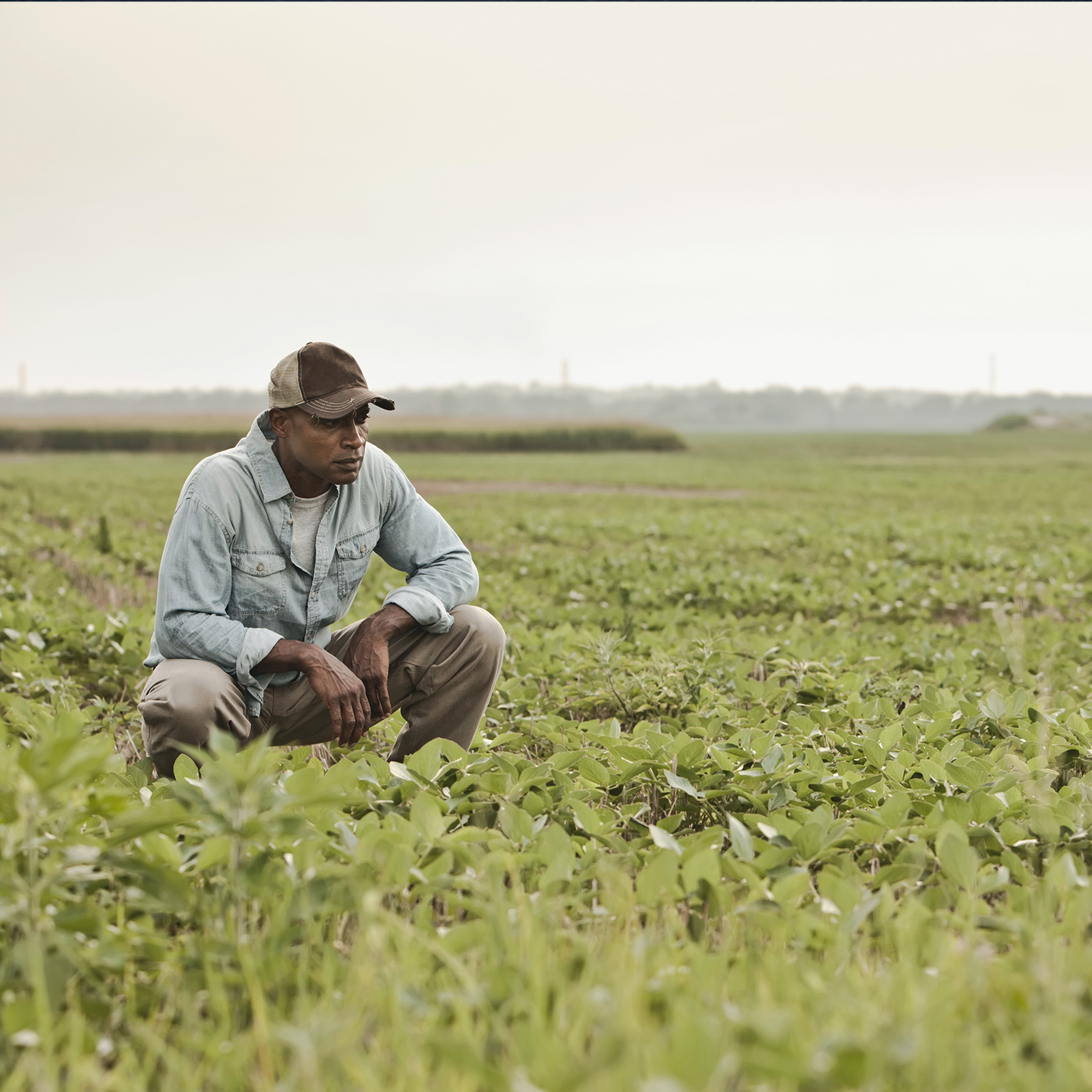 Black farmers in the US: The opportunity for addressing racial disparities in farming