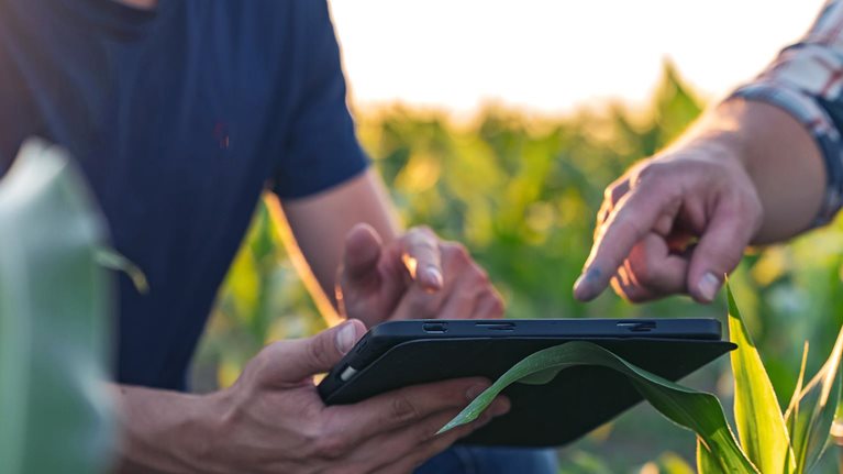 Male farmer and agronomist using digital tablet in corn field
