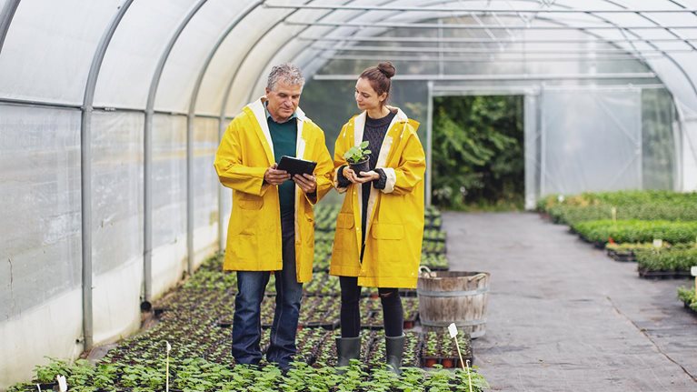 Two people at a plant nursery