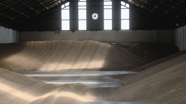 Barn filled with wheat to be dried and stored