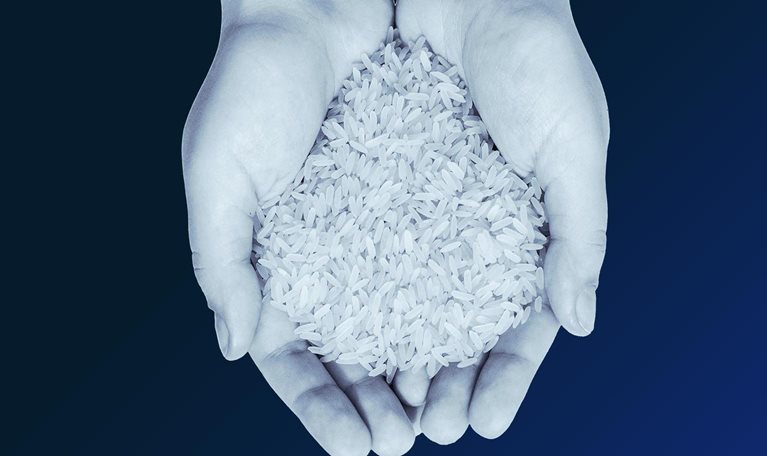 Reducing agriculture emissions through improved farming practices