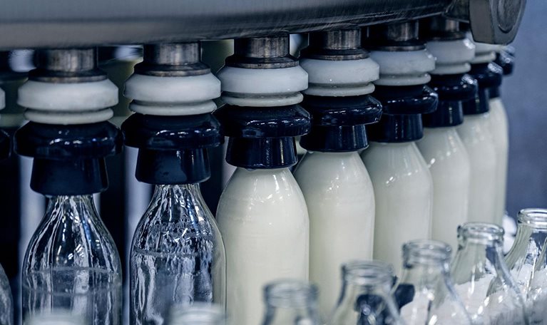 Milk bottles filling and capping