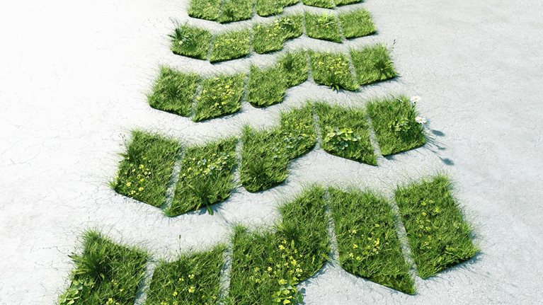 Digital generated image of car tire track made out of grass growing through gray concrete surface.
