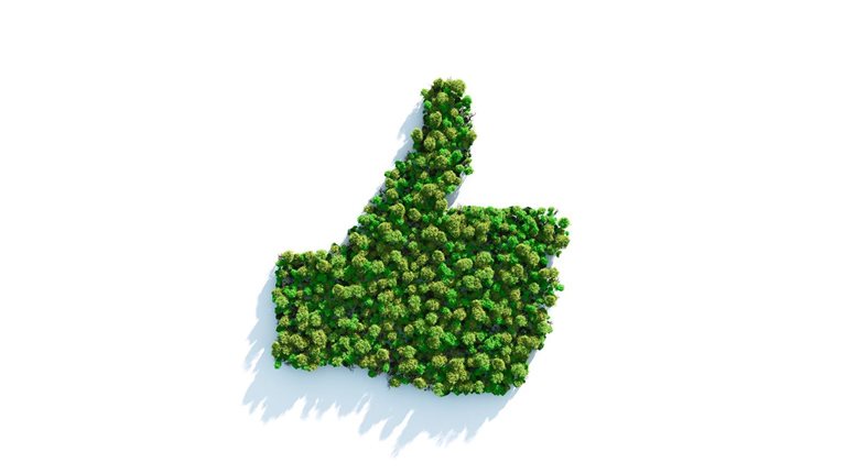 Green I Like - stock photo