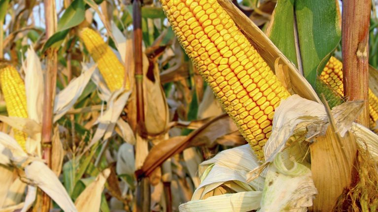 Pursuing_the_big_opportunity_1536x1536_Original