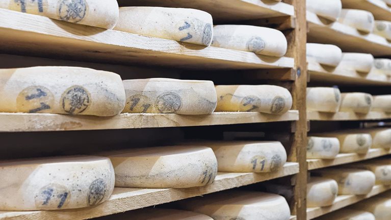 The evolving minds and strategies of dairy executives