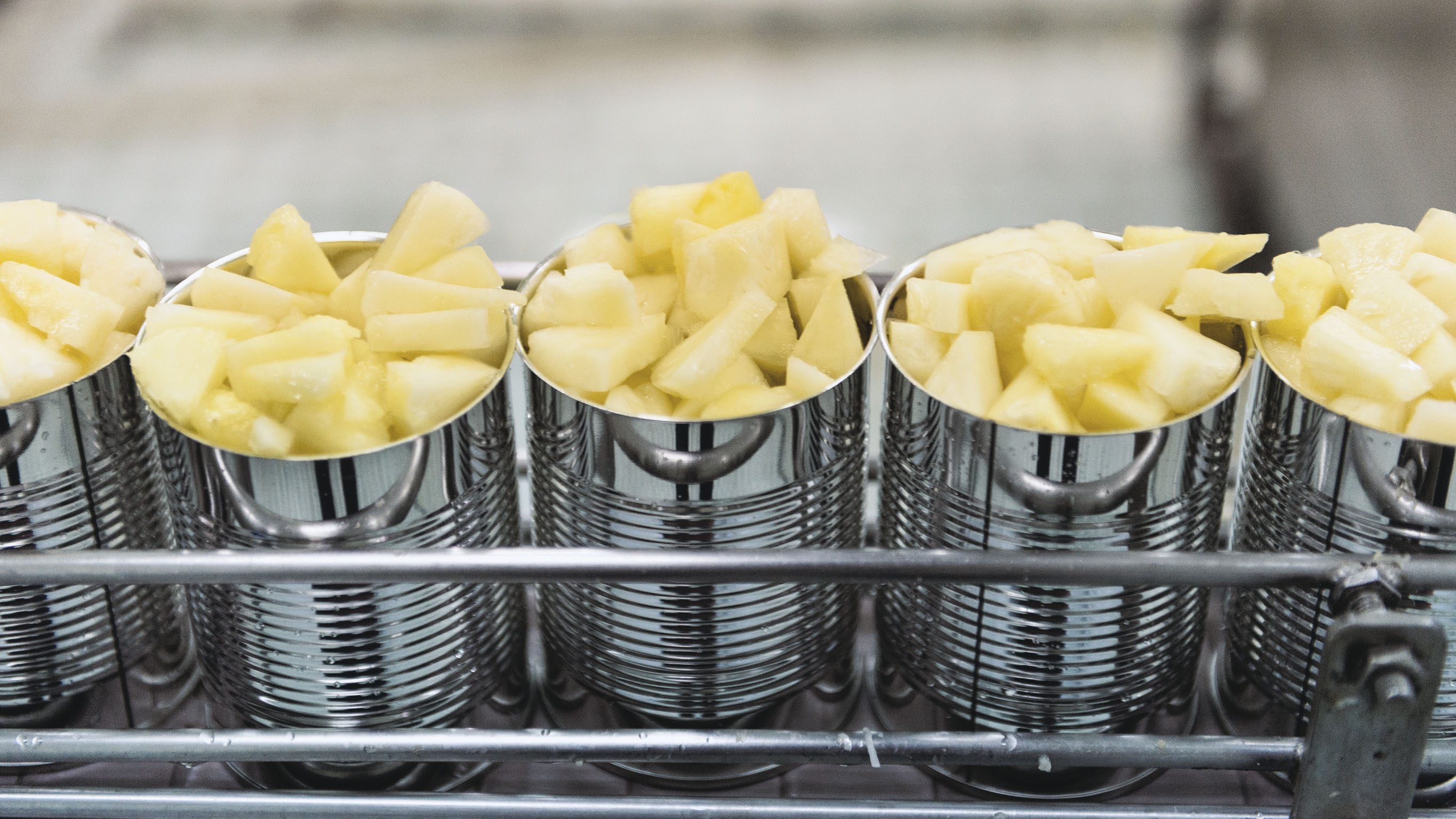 US food supply chain: Disruptions and implications from COVID-19