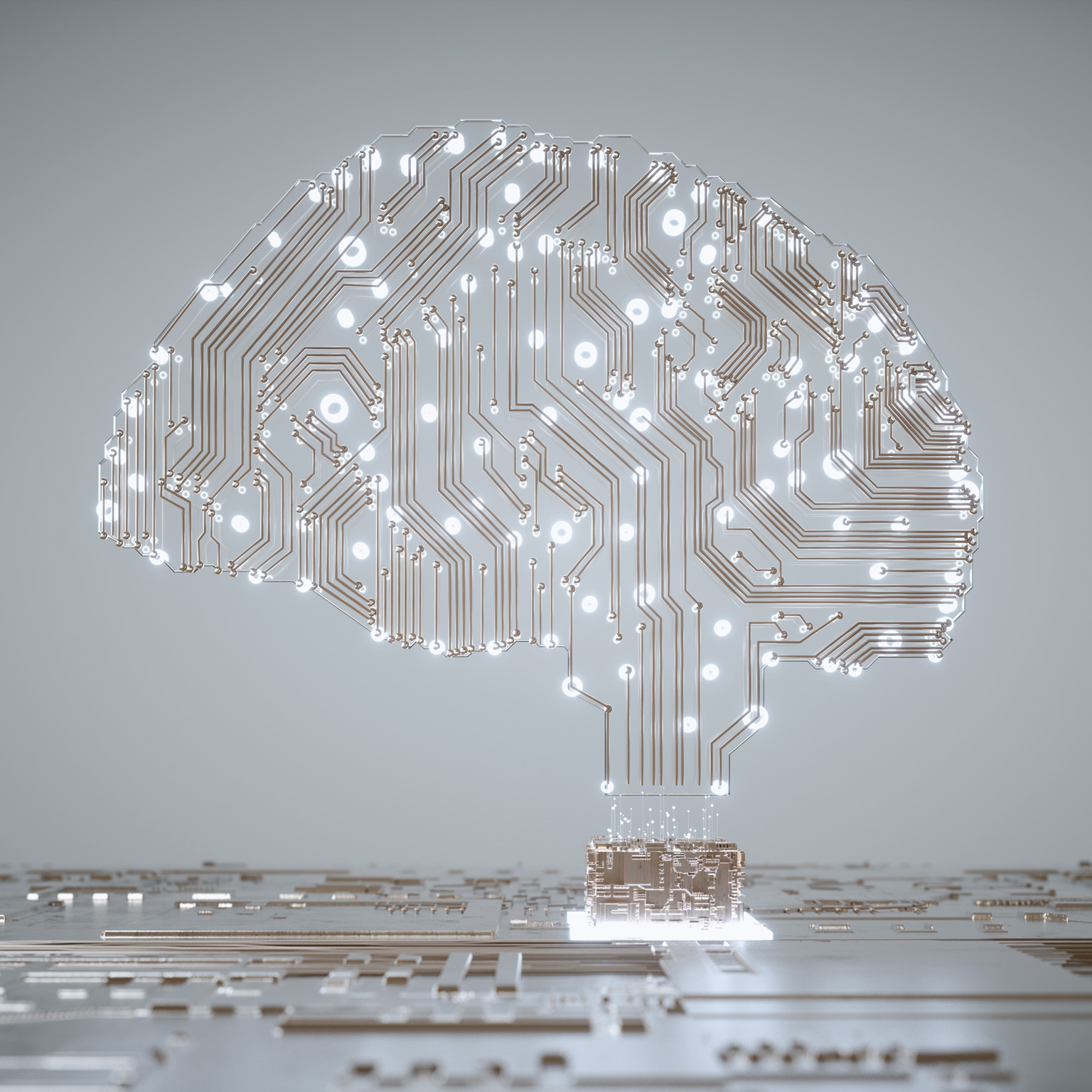 Digital human brain covered with networks