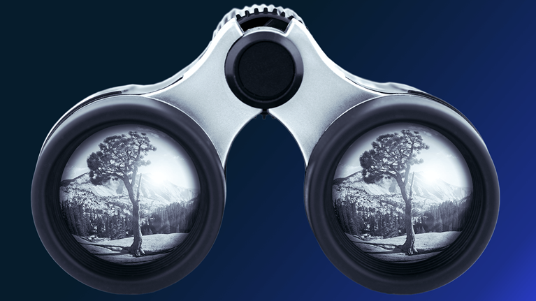 Blue toned binoculars