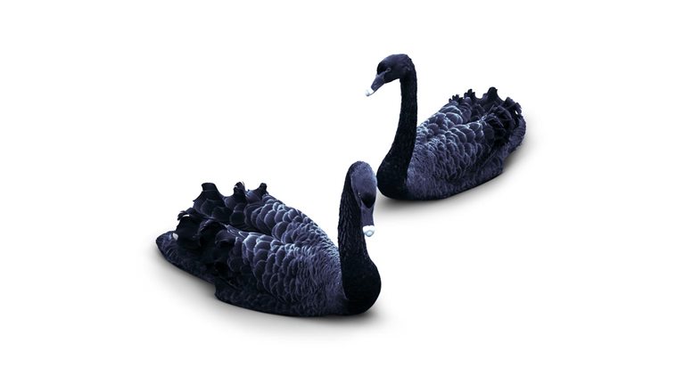 North American asset management: A year of shocks but few surprises