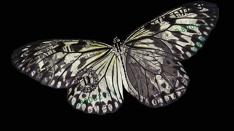 unse11_1536x1152_Original