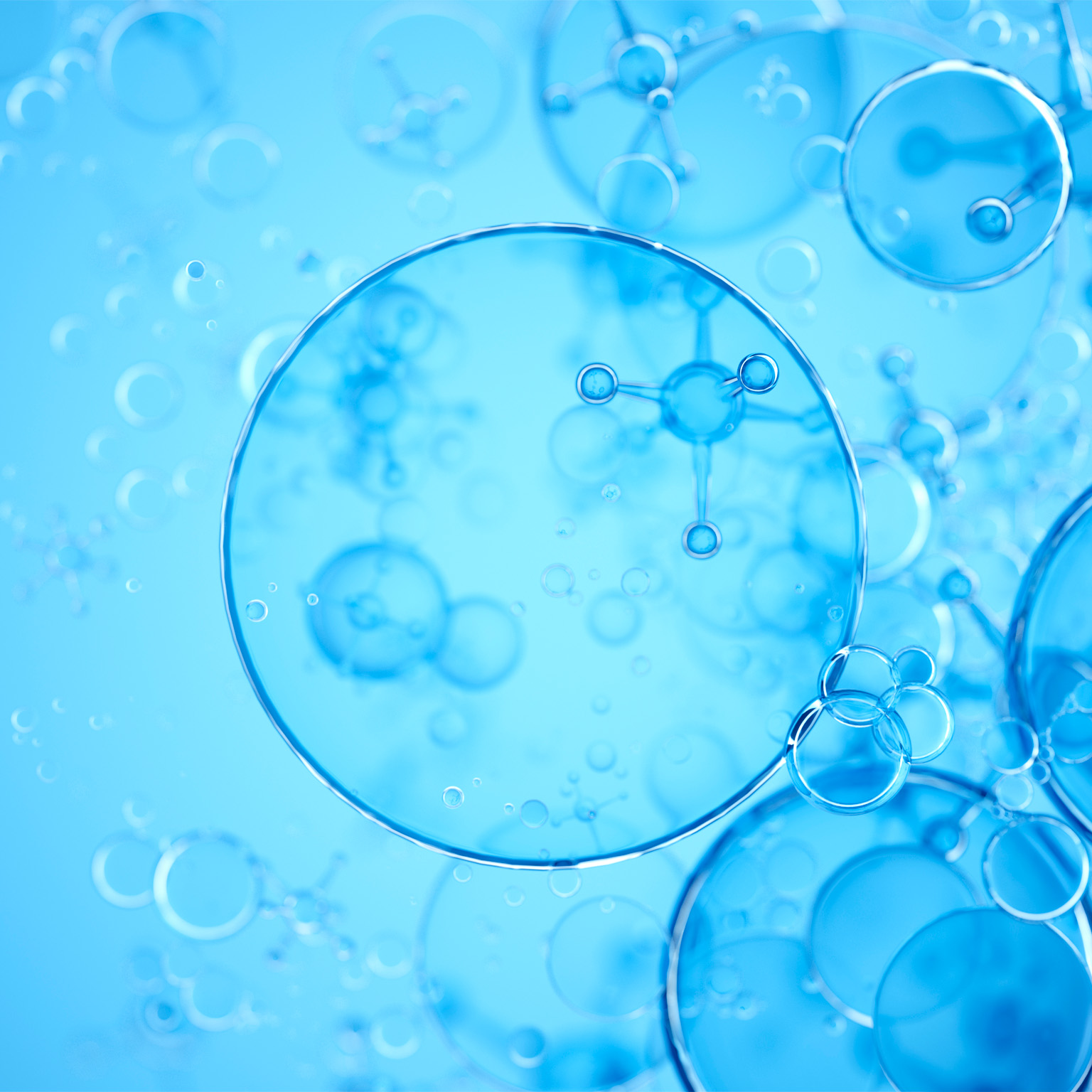 photo of cells