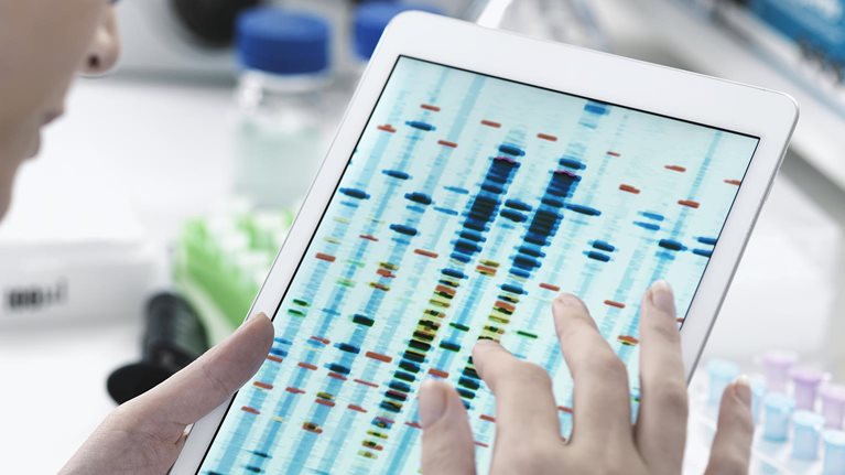 Precision medicine in practice Strategies for rare cancers