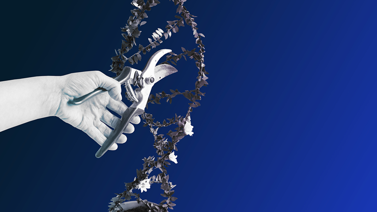 Programming life: An interview with Jennifer Doudna