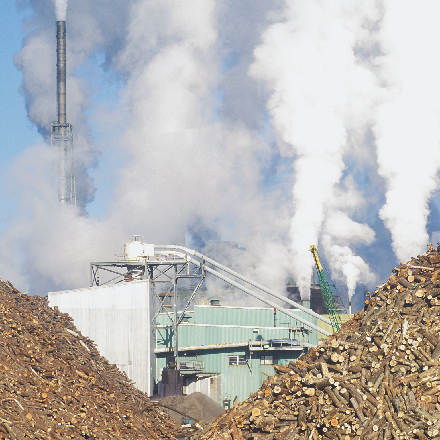 Pulp, paper, and packaging in the next decade: Transformational change